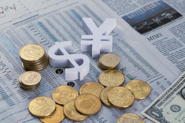 度假露营创业项目财务分析：掌握投资回报与风险的平衡之道图1