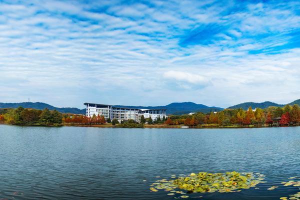 提升大学生创新思维与创业能力的有效途径研究图1