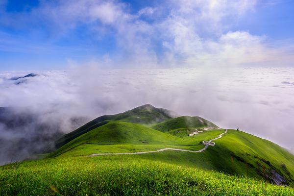 同程旅行：创新创业引领旅游业新潮流图1