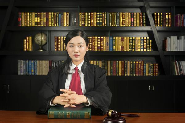 公益律师免费法律援助在现代项目融资中的创新实践与可持续发展 图2