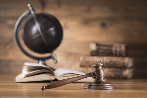 打造法庭品牌特色的实践探索与创新路径 图2