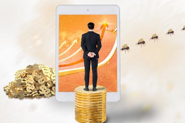 扶贫小额信用贷款：助力乡村振兴的金融创新与实践 图1