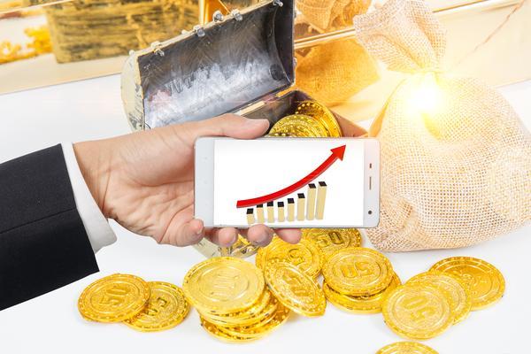 专业创新创造价值：项目融新机遇与实践 图1